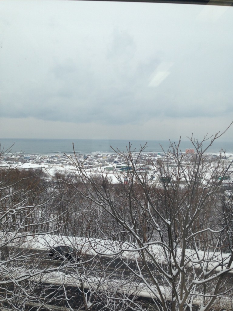 まあ、もう、女満別も中標津の一緒かーって、気持ちです、、、。