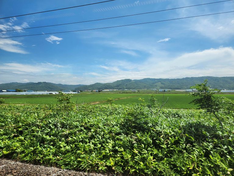 本当に、本当にありがたいお話で、なんとかしたいとも、、。「秋からで、お願いできないでしょうか？」を許してくれるかなー。