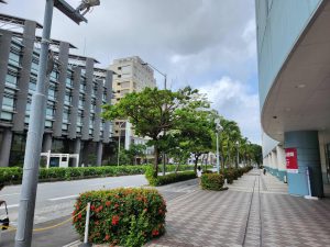 沖縄は、お陰様で、時折、晴れ間です。大雨予想が嘘のようです。ありがたいです。