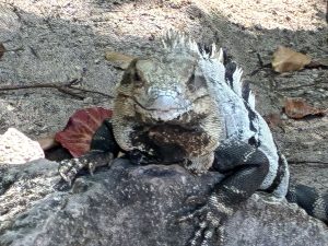 これで、また、一年頑張ろうと。