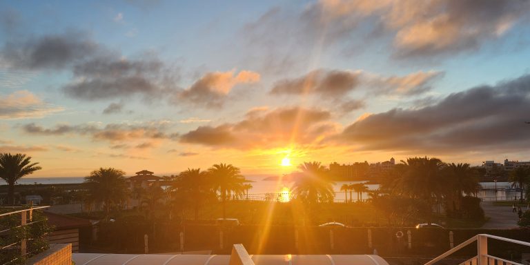 みんな、経営者がガメたら怒るのに、給食だと許すのだろうかね、不幸な話ですね。