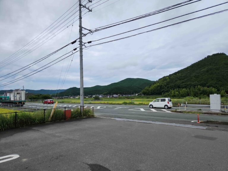 国の推計によると、2040年の1人暮らし高齢者は約900万人に達する。