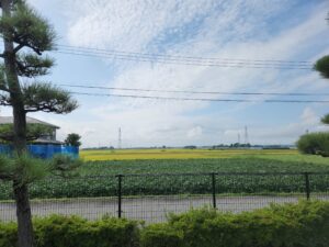 ８年前に仕事を始めて、６年前に終わったんです。そして、６年経って、また、仕事の話で伺ったんです。本当に、真面目に仕事をしておくものですね。つくづく思います。