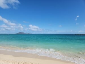 WJUも腹を括って臨むことになりました。