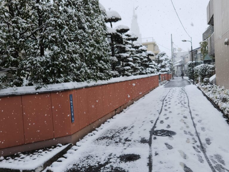 先日、庄子会場、理事長と食事をさせていただきました。メールをいただきました。