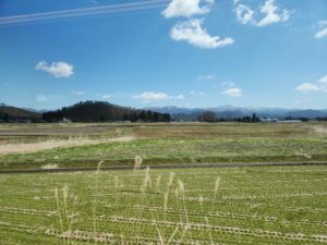 問題の本質を理解して全体像が把握できたら、あとは、どこから登り始めて頂上を目指すのかです。3年で鋼の法人になっていだくようにしたいと考えています。