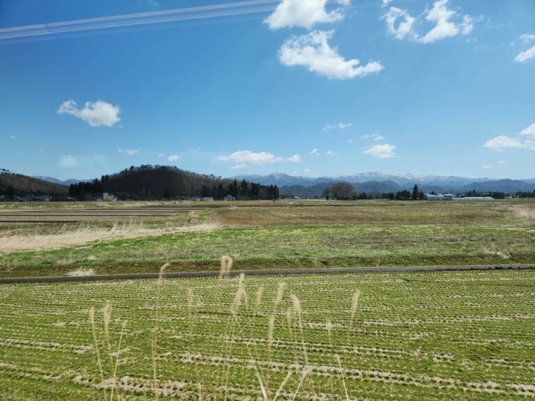 問題の本質を理解して全体像が把握できたら、あとは、どこから登り始めて頂上を目指すのかです。３年で鋼の法人になっていだくようにしたいと考えています。