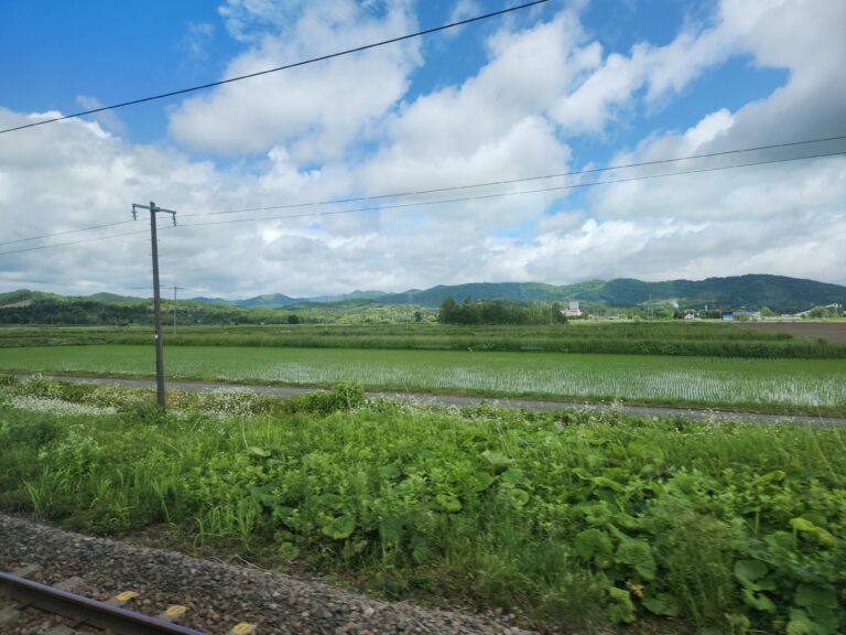 決定権のある皆さんと打ち合わせして、関係者が本当にやりたいことを確認したいと。